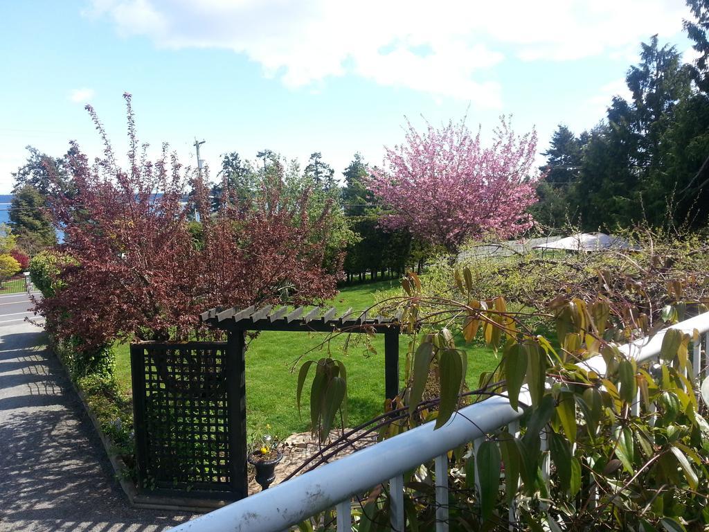 By The Sea Bnb, Sidney Victoria Bc Buitenkant foto