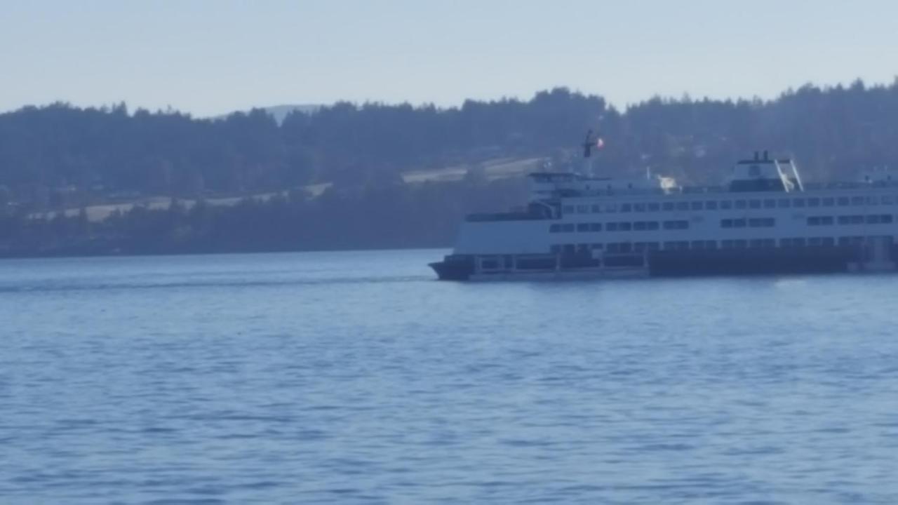 By The Sea Bnb, Sidney Victoria Bc Buitenkant foto