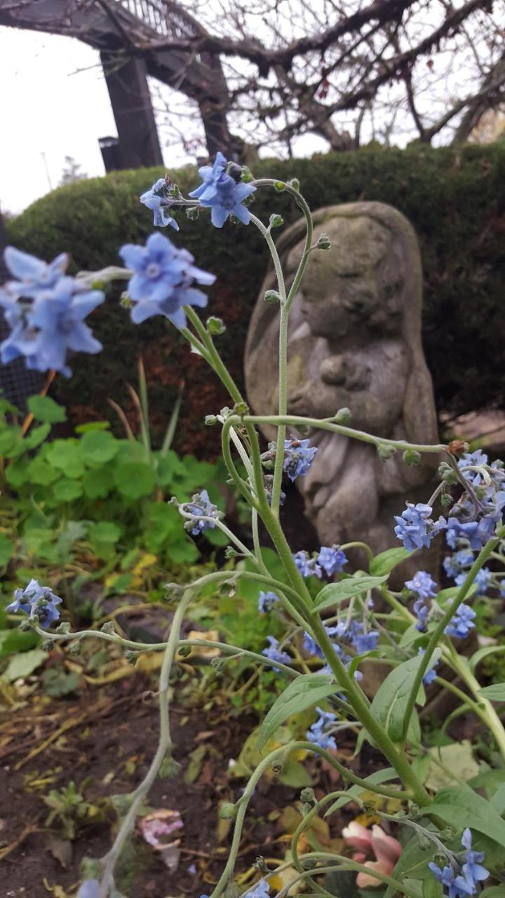 By The Sea Bnb, Sidney Victoria Bc Buitenkant foto